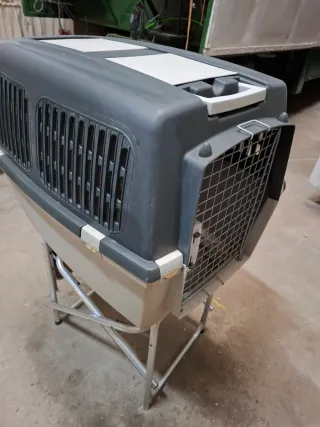 Transportín rígido, para mascotas medianas.