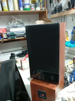 Altavoces Pasivos Varios Modelos