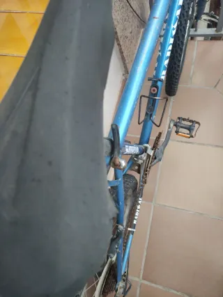 Bicicleta azul de montaña radikal