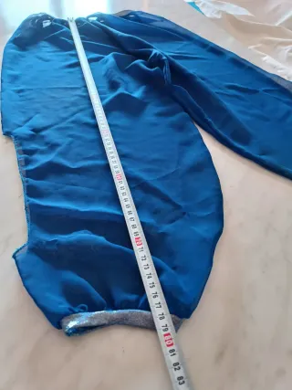 Costume Odalisca Carnevale