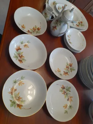 Vajilla porcelana hojas años 60