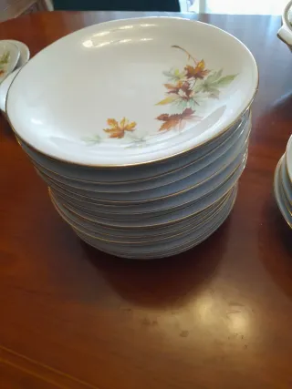 Vajilla porcelana hojas años 60