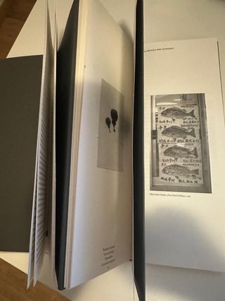 Gyotaku: capturar l’ànima dels peixos. Fotografía