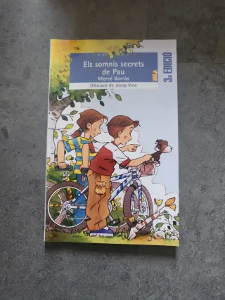 Els somnis secrets de Pau