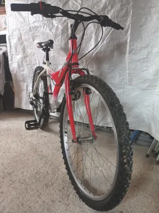 Bicicleta de 24 pulgadas