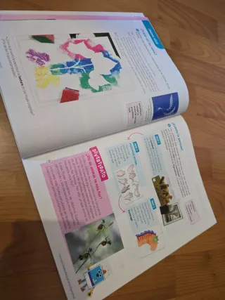 Educación Plástica y Visual. 4 Primaria. Revuel...