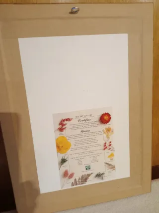 4 Cuadros Flores Secas Naturales