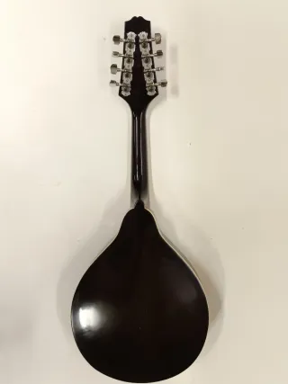 Mandolina Eléctrica RW Richwood RW-840-NT