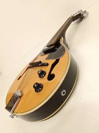 Mandolina Eléctrica RW Richwood RW-840-NT