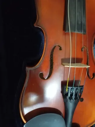 Violín 1/4 + arco + funda