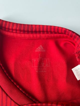 Camiseta adidas FC Bayern Munich 2019 Robben 10