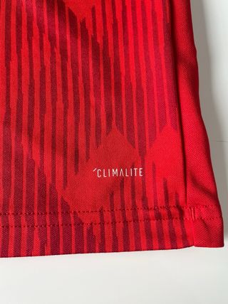 Camiseta adidas FC Bayern Munich 2019 Robben 10