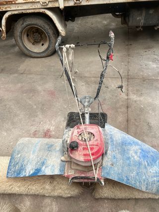 Mulilla de blanqueo con cepillos