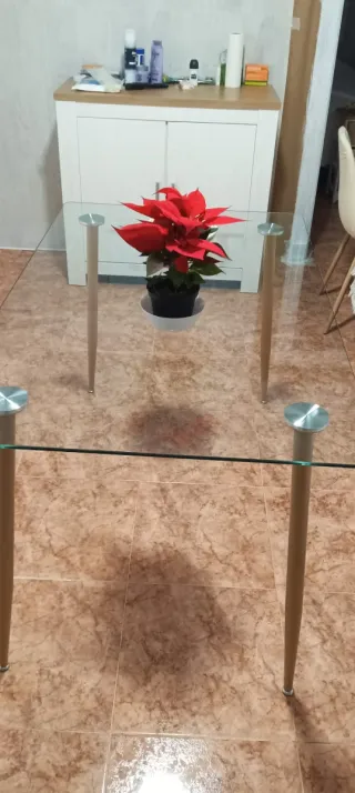 Mesa de cristal y patas de madera