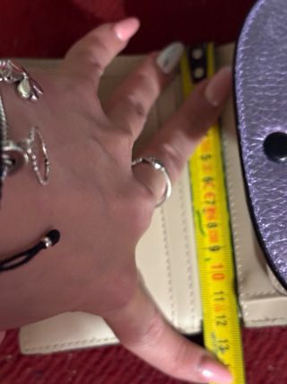 Cartera Tous Morada y Negra