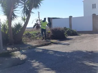 Jardinero sevilla y municipios