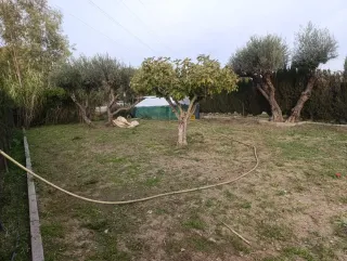 Jardinero sevilla y municipios