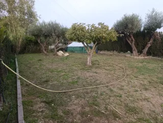 Jardinero sevilla y municipios