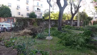 Jardinero sevilla y municipios