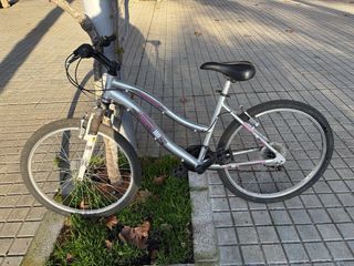 Bicicleta de montaña plateada