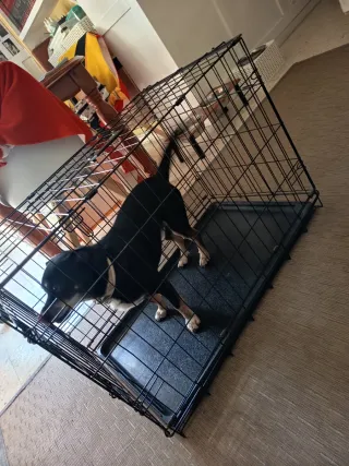 Jaula mediana para mascotas *precio negociable*