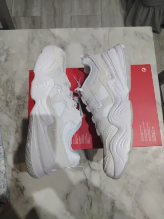 Scarpe Nike Tech Era Bianche e grigie