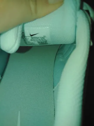 Scarpe Nike Tech Era Bianche e grigie