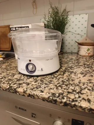 Vaporera Orbegozo CO 4000