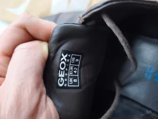 Zapatos Geox Marrones Hombre