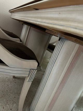 Mesa comedor y 6 sillas