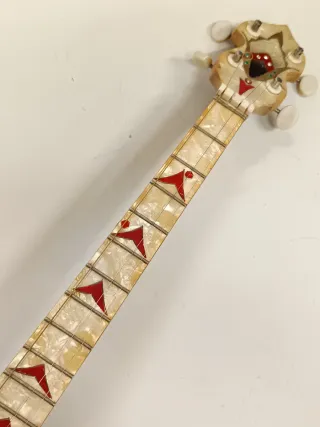 Extraordinario Banjo de exposición