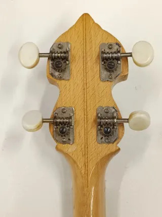 Extraordinario Banjo de exposición