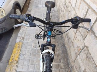 Bicicleta de montaña Team 25