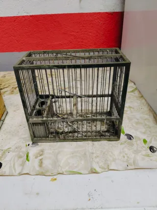 Jaulas para jilgueros