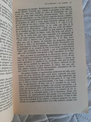 La representación del mundo en el niño