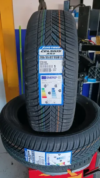 205/55 R17 95W TOYO CELSIUS AS2