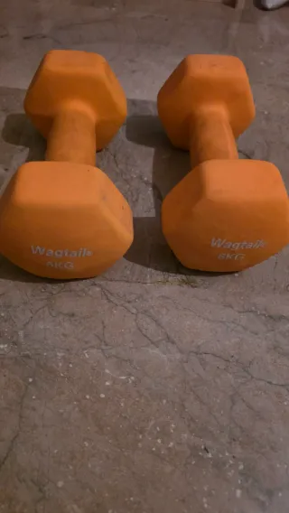 Pesas Wagtails 6kg (Par)