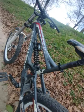 Bicicleta Bergamont DH