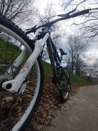 Bicicleta Bergamont DH