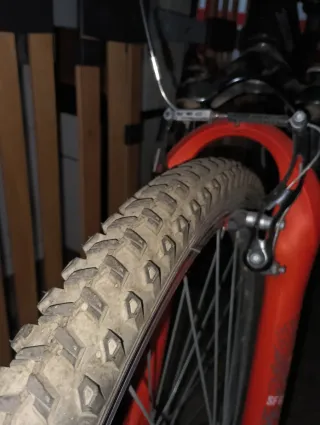 Bicicleta de montaña infantil