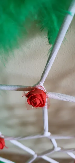 Carnaval fiesta atrapasueños