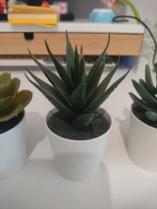 Plantas decorativas Ikea (set de 3)