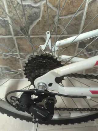 Bicicleta Montainbike