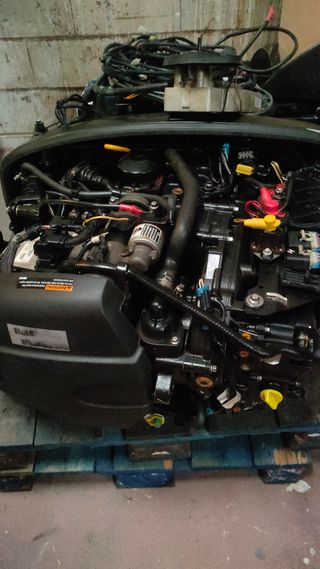 Motor fueraborda Mercury EFI 80hp 4T