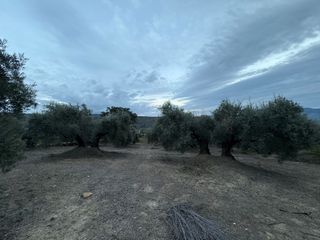 Finca con luz y agua