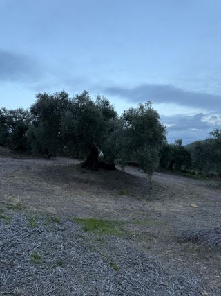 Finca con luz y agua