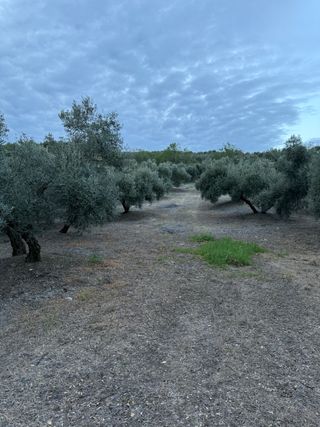 Finca con luz y agua