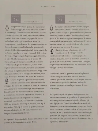 Il diario della gravidanza