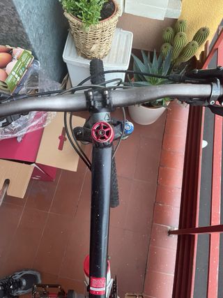 Bicicletta Specialized da montagna