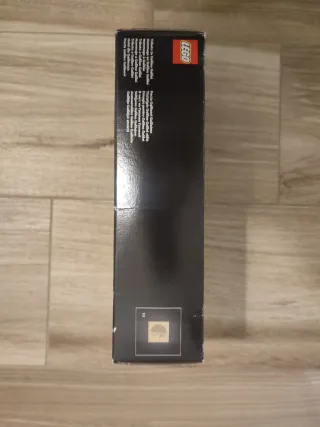 LEGO Ideas Galileo Galilei 40595